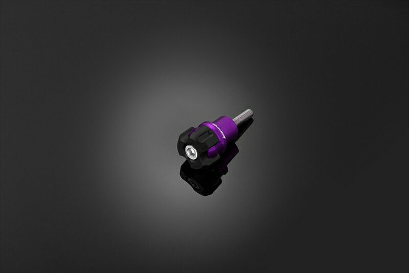 バイクパーツBIKERS(バイカーズ) フロントフェンダープロテクター 2個 パープルC0085-PUR4549950835554