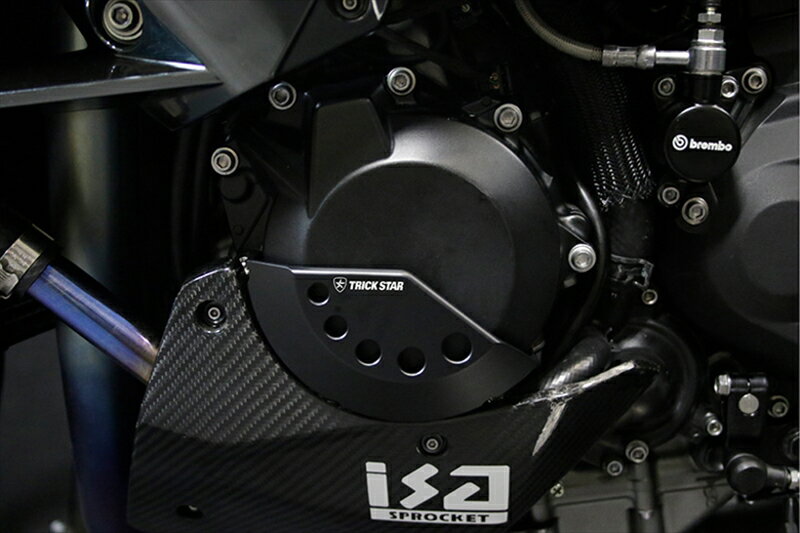 バイクパーツ トリックスター モーターアーマー ジェネレーターカバー Z H2 20-22 24-25 / Z H2 SE 21-25 AEC-H01-G 4573269991076