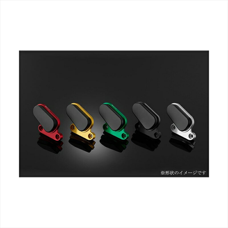 バイクパーツ 外装バイカーズ フロントキャリパーガード 右 チタンK0409-TIN 4550255593117Z900 18-24