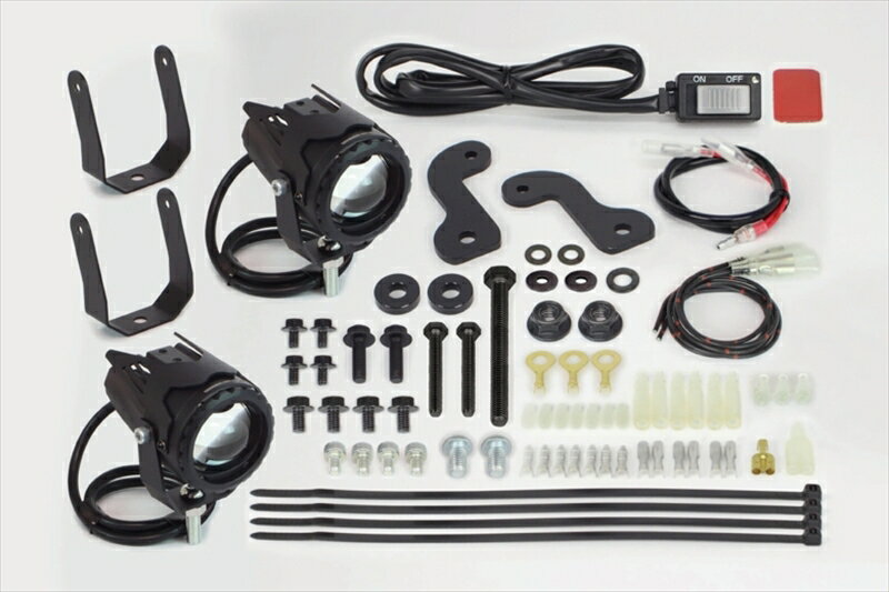 バイクパーツ 電装系スペシャルパーツタケガワ LEDフォグランプキット カットライン/10W スーパーカブ50 AA09 /110 JA44・59 2個入 05-08-0653 4514162846445
