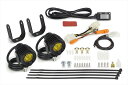 バイクパーツSP TAKEGAWA(SP武川) LEDフォグランプキット3.0 950/レモンイエロー 2個入 05-08-06714514162848456