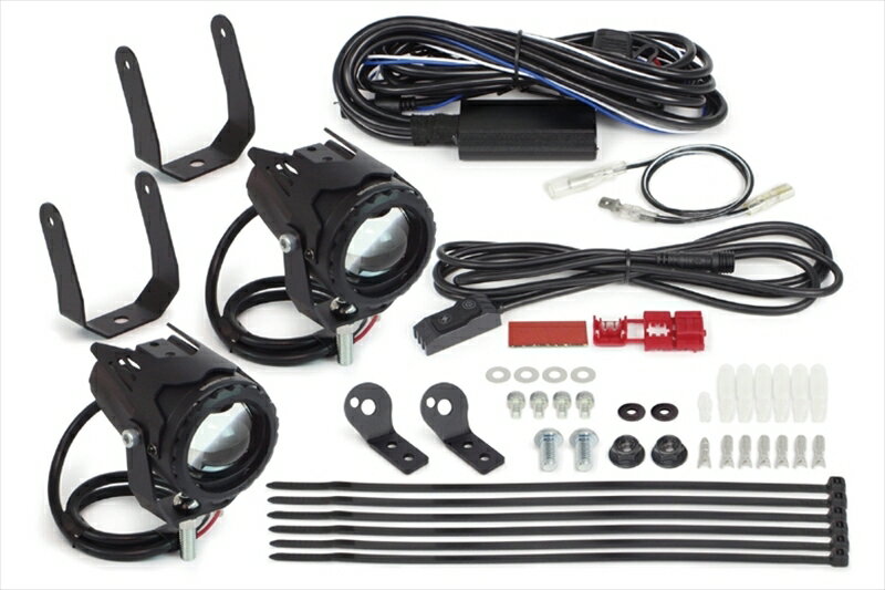 バイクパーツ 電装系スペシャルパーツタケガワ LEDフォグランプキット カットライン/15W/2色 2個入 PCX125/160 タケガワ社製フロアステップサイドバー装着車 05-08-0702 4514162848760