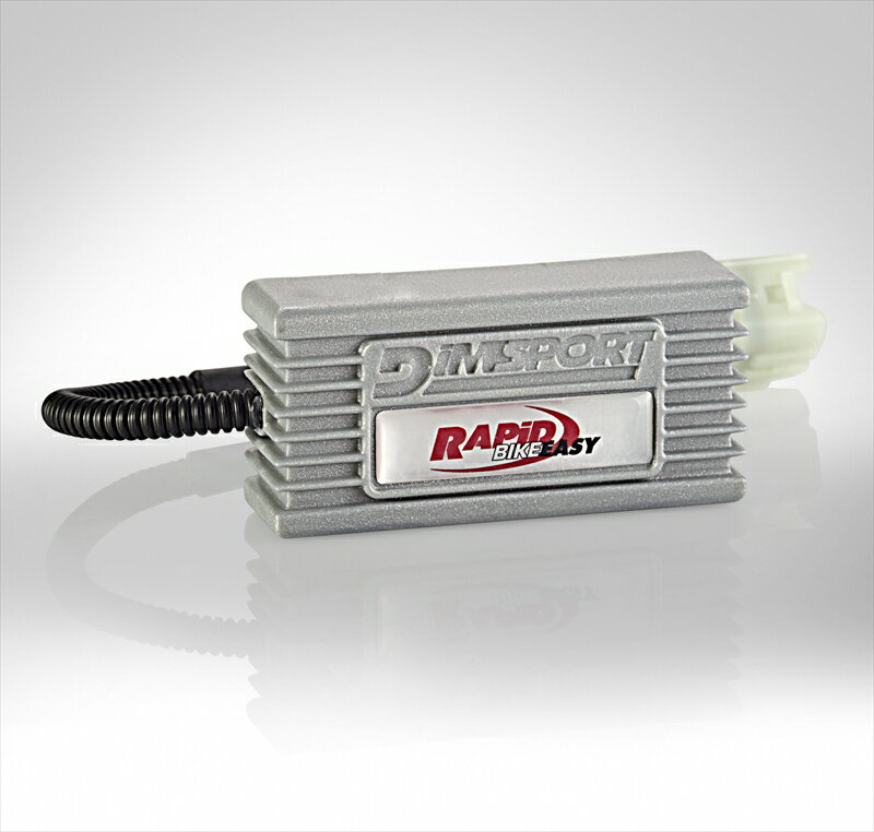 バイクパーツ 電装系RAPID BIKE(ラピッドバイク) EASY2-KITKRBEA2-0124550255215804