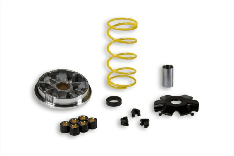 バイクパーツ 駆動系MALLOSSI(マロッシ) マルチバリエター51 71284550646232113