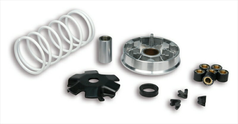 バイクパーツ 駆動系MALLOSSI(マロッシ) マルチバリエター51 99884550646237712