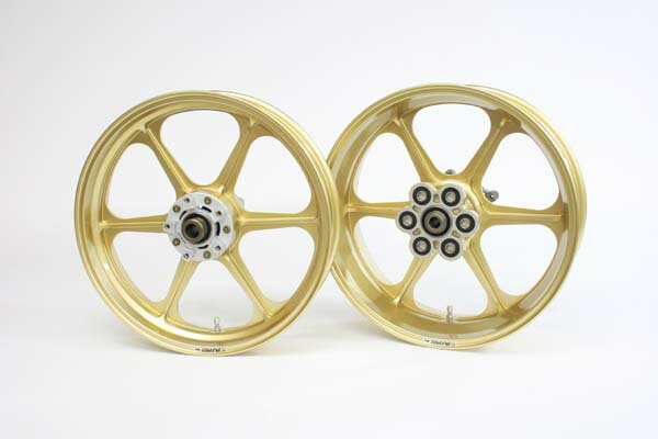 R550-17 GLD TYPE-N DUCATI GT1000/Paul Smart1000/SPORT100028695106 4538792644448取寄品