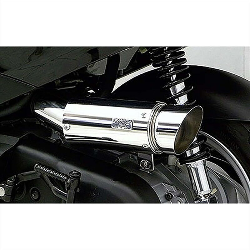 バイクパーツ ウイルズウィン サイレンサー型エアクリーナー/ポッパー 194-01-02 4548664097210AXISトリート