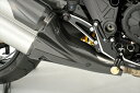 バイク用品 外装ディライト ドレスドテールパイプカバー 平織 DiavelDEP142C 4550255651886取寄品
