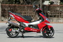 バイク用品 マフラーアールピーエム RPM 80D-RAPTOR G-MAX2006014D 4582287241865