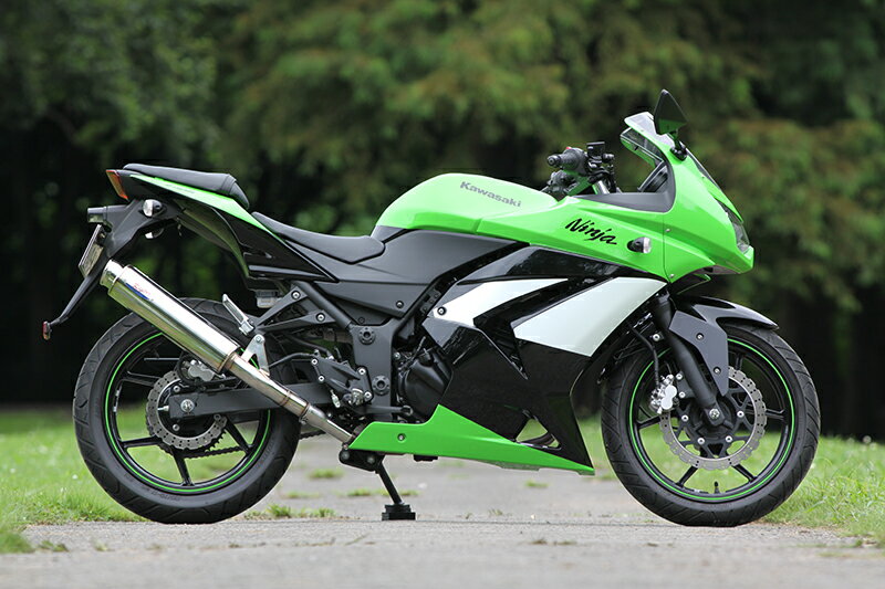 バイク用品 マフラーアールピーエム RPM 80D-RAPTOR NINJA250R6502D 4582287242046取寄品 セール
