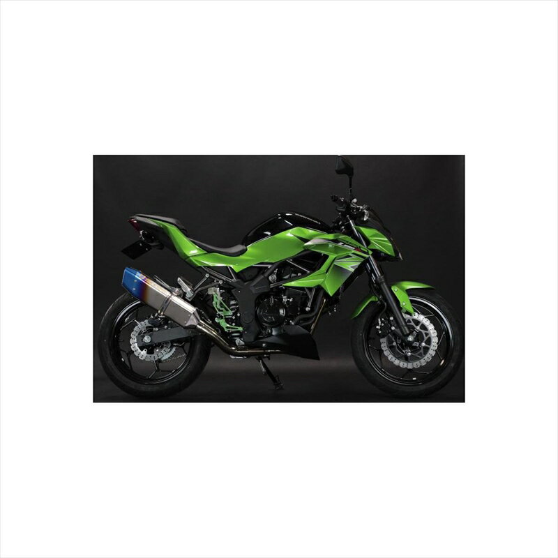 バイクパーツ マフラートリックスター レーシングS/O シングル IKAZUCHI RSS-028-L4YT 4560417402584Z250SL