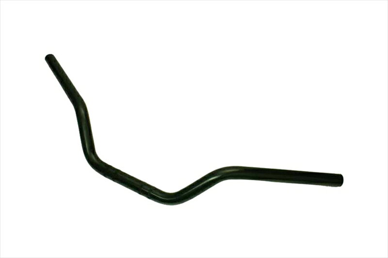 バイクパーツ ハンドルEFFEX(エフェックス EZ-FITBAR ハーレー) EZ FIT BAR 30mmバック ブラック XL1200X 883N 10-15EHD103-304548664771318