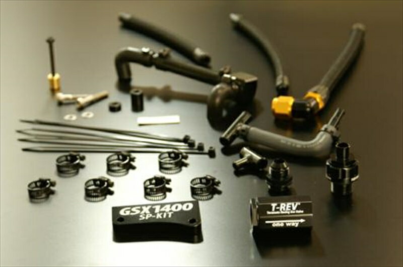 テラモト T-REVαシステムSPフルキット レッド GSX1400SP-4461-Z01 4580663860129取寄品