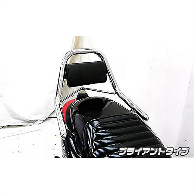 バイクパーツ 外装ウイルズウィン サポートタンデムバー ブライアントタイプ193-13-01 4548664500482アクシストリート
