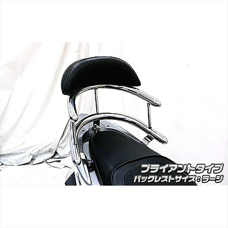 バイクパーツ 外装ウイルズウィン Bホールドタンデムバー BRY/L643-03-01 4548664572403Dio110 JF31