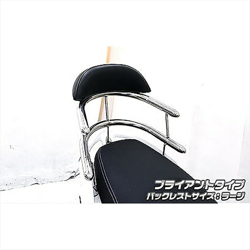 バイクパーツ 外装ウイルズウィン Bホールドタンデムバー BRY/L 663-03-01 4548664584611PGO ティグラ125