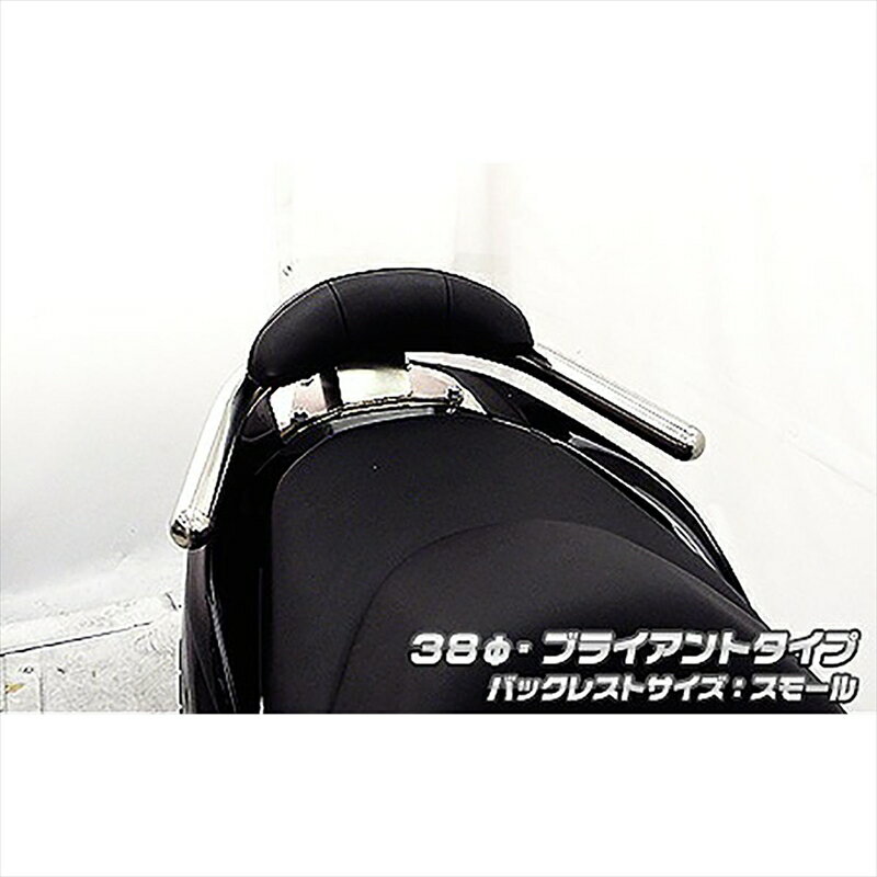 バイクパーツ 外装ウイルズウィン Bレスト付タンデムバー BRY/38/S 1363-12-51 4548916019991FORZA Si(MF12)