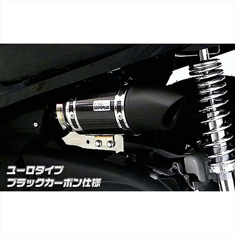 バイクパーツ ウイルズウィン サイレンサー型エアクリーナー/ユーロ BLK 1364-01-06 4548916025367FORZA Si(MF12)