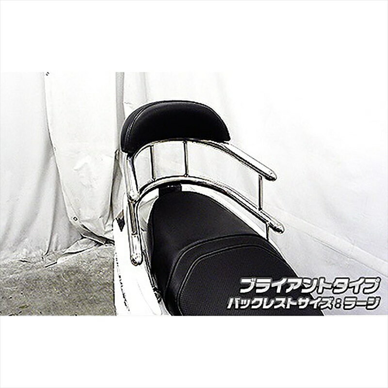 バイクパーツ 外装ウイルズウィン Bホールドタンデムバー BRY/L 163-03-11C 4548916630455シグナスX SR 4型(EBJ-SEA5J/E3T5E)