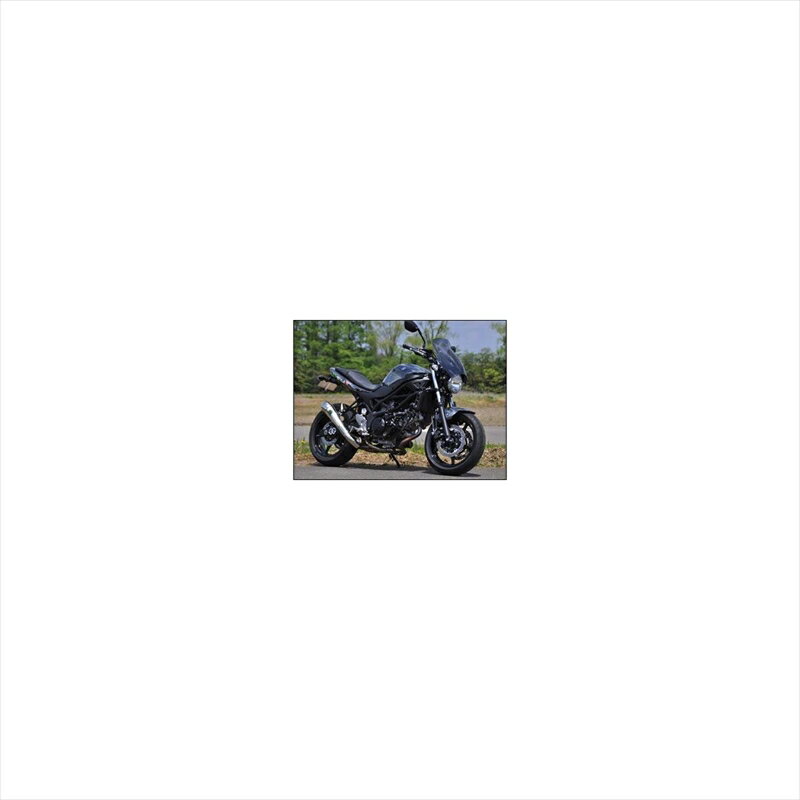 バイクパーツ 外装シックデザイン GUYRAシールド クリア #L GS49BL 4549950539995SV650 16-