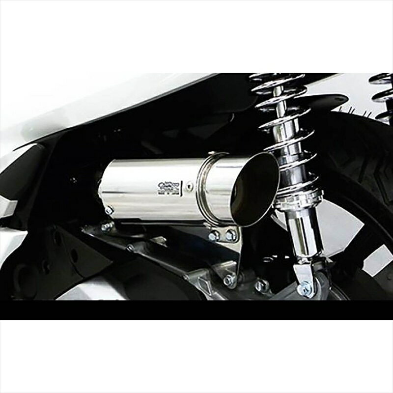 バイクパーツ ウイルズウィン サイレンサー型エアクリーナー/ポッパー 264-01-02C 4550255163181PCX(2BJ-JF81)