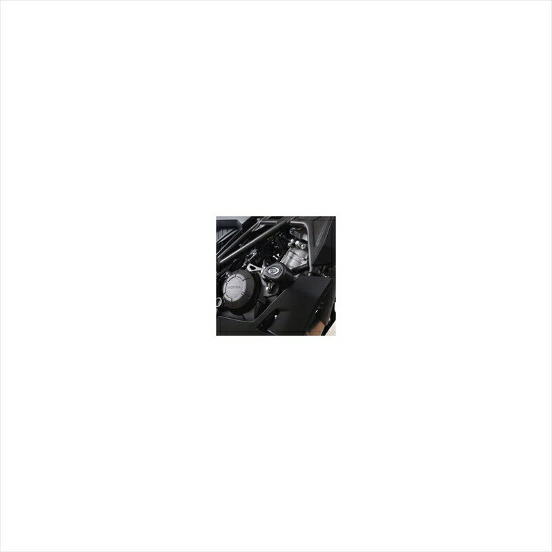 バイクパーツ 外装アールアンドジー エアロクラッシュプロテクター BLKRG-CP0522BL 4573382098751CB125R 21-