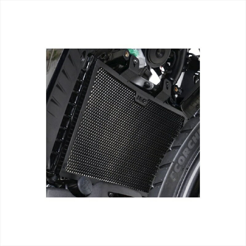 バイクパーツ 冷却系アールアンドジー ラジエターガード ブラックRG-RAD0280BK 4580779562719HD Pan America 21-