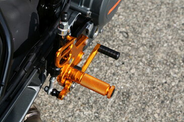 バイク用品 ステップBABYFACE ベビーフェイス バックステップキット BLK 790DUKE 18-002-KT012BK 4589981467157取寄品 セール