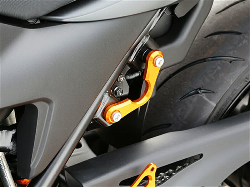 バイク用品 外装BABYFACE ベビーフェイス レーシングフック BLK SV650ABS 16005-FS003BK 4589981490810取寄品 セール