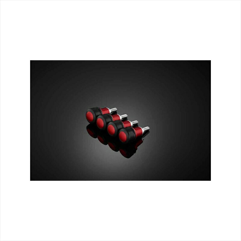 バイクパーツBIKERS(バイカーズ) フロントフェンダープロテクター 4個 レッド Y0323-RED4550255211301XMAX 18-22