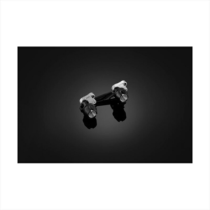 バイクパーツ 外装バイカーズ エキゾーストプロテクター シルバーY0146-SLV 4548916464432TRICITY125 14-16