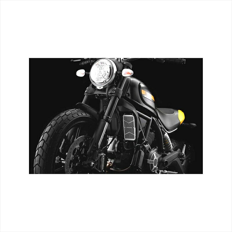 バイクパーツ 冷却系バイカーズ ステンレス コアガードD0037 4548916773923DUCATI Scrambler 15-17