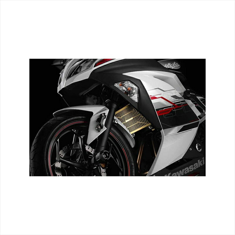 Х ѷϥХ BIKERS ƥ饸 󥳡 GLD Ninja250 Z250 13-17K0339-GLD 4548916774623 