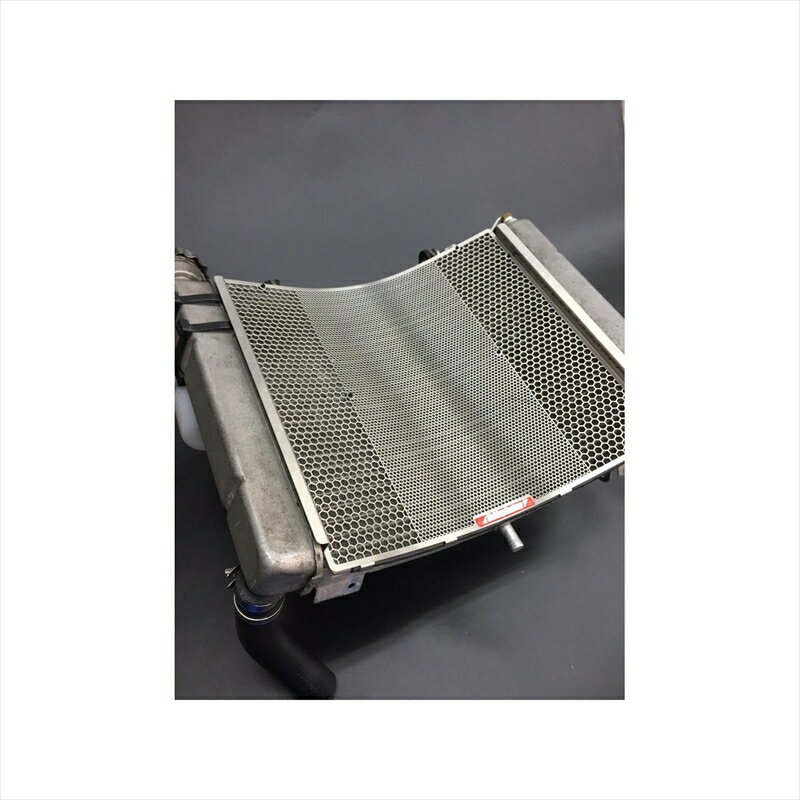バイクパーツ 冷却系エッチングファクトリー ラジエターガード エンブレム緑 RGH-NSR250-00 4549950869955NSR250R(MC21/MC28)