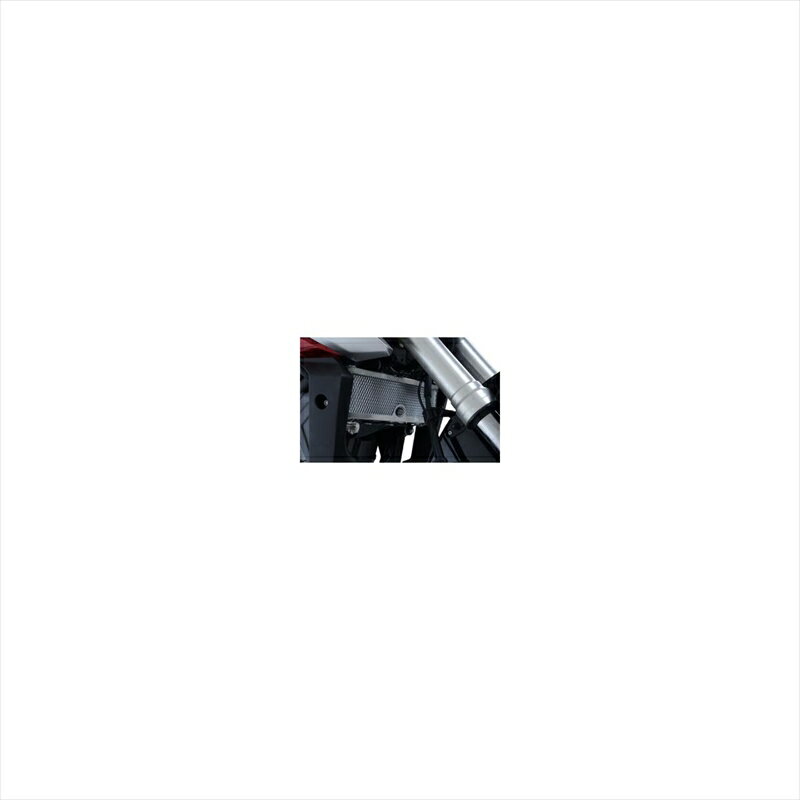 バイクパーツ 冷却系アールアンドジー ラジエターガード チタンカラーRG-RAD0235TI 4580041230537CB125R 18-