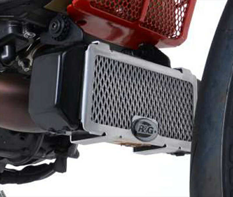 バイクパーツR&G(アールアンドジー) オイルクーラーガード チタンカラーRG-OCG0035TI4580041235679