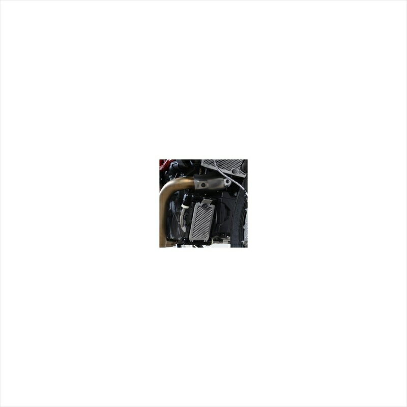 バイクパーツR&G(アールアンドジー) オイルクーラーガード ブラック RG-OCG0036BK4580041236249INDIAN FTR1200/S 19-