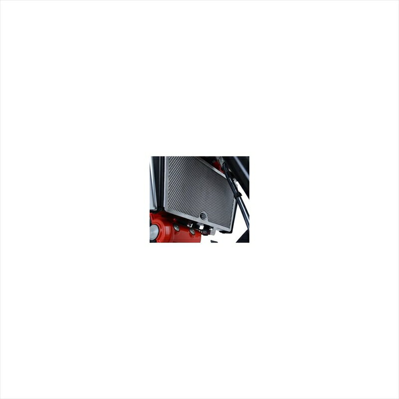 バイクパーツ 冷却系アールアンドジー ラジエターガード チタンカラーRG-RAD0240TI 4580041236560APRILIA Shiver900 17-19