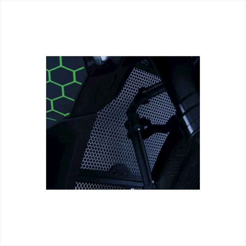 バイクパーツ 冷却系アールアンドジー ラジエターガード ブラックRG-RAD0258BK 4580041250559ZX-25R 20-