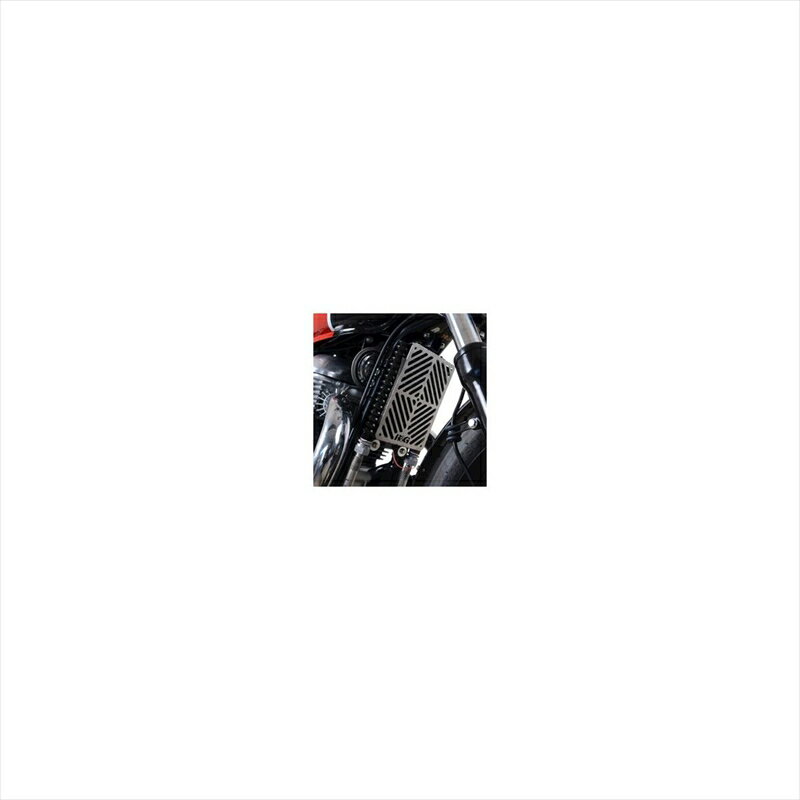 Хѡ ѷϥ륢ɥ ƥ쥹 륯顼RG-SCG0013SS 4580041254045Royal Enf...