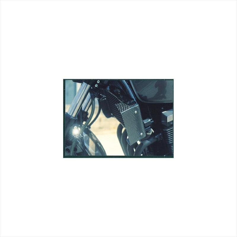 バイクパーツ 冷却系プレジャー ラジエターシュラウド カーボン PK1180 4547424090386ZRX400