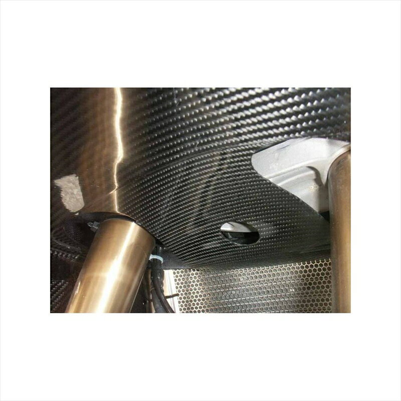バイクパーツ 冷却系エーテック ラジエターシュラウドSTD DCクリア塗装K110055 4524446064113ZX-10R 11-