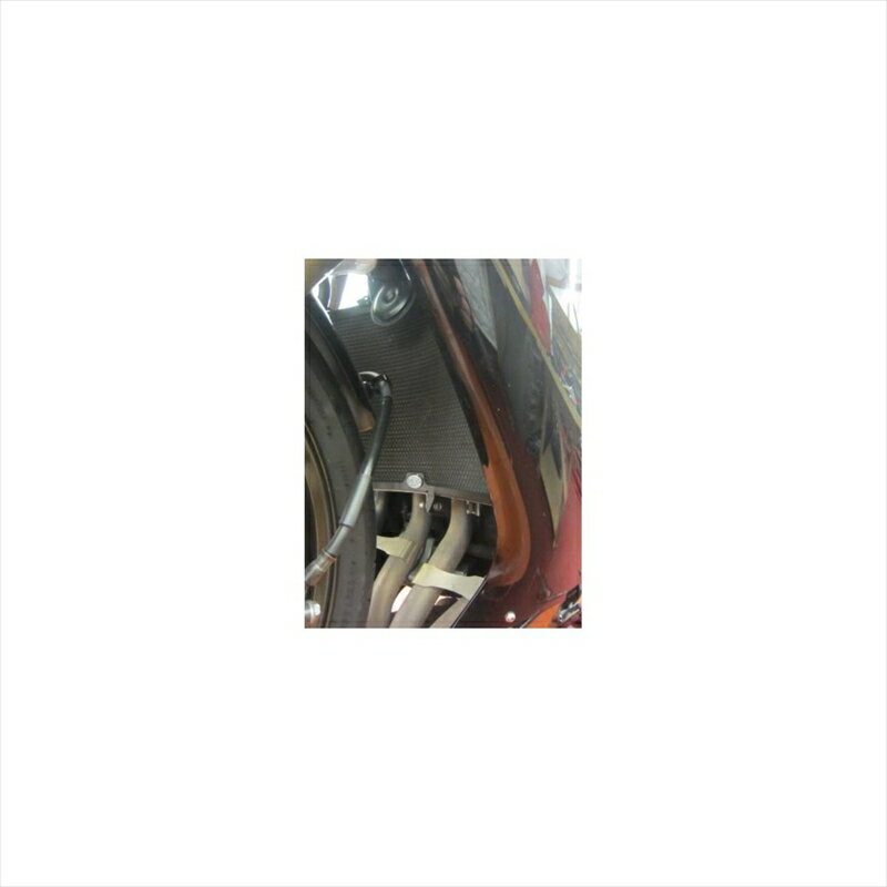 バイクパーツ 冷却系アールアンドジー ラジエターガード ブラックRG-RAD0131BK 4571381482601ZX-10R 06-07