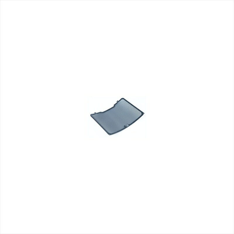 ■メーカー名：R&G(アールアンドジー) ■メーカー品番：RG-RAD0177TI ■JAN：4582483533047 ・適応車両：MV AGUSTA F4 1000R 10- ◆あなたの愛車にジャストフィットします ◆ラジエターはとても柔らかいアルミ素材でできており、外部からのダメージを受けやすく、損傷すると走行不可になりかねません ◆また高価なラジエター自体を交換しないといけなくなるかもしれません ◆ダメージを受ける前に装着していただくのをお勧めいたします ◆よりスポーティーなチタン製・腐食に強いステンレス製・車種別カラーラジエター等豊富な種類をご用意しました カラー：チタン 材質[素材]：アルミニウム 備考：キャンセル不可商品 ※画像注意書き ： 画像1：画像はブラックです。実際のカラーはチタンカラーです。 画像2： 画像3： 画像4： 画像5： 画像6： 画像7： 画像8： 画像9： 画像10： ■カテゴリ：車用品・バイク用品 ＞＞ バイク用品 ＞＞ パーツ ＞＞ 冷却系パーツ ＞＞ ラジエーター ■分類：バイク用品,バイクパーツ（オートバイ/二輪車/モーターサイクル） ■有名バイク：ネイキッド,アメリカン,モタード,デュアルパーパス,レーサーレプリカ・スーパースポーツ,ツアラー/クルーザー,ミニバイク,ビッグスクーター,スクーター(原付バイク),ビジネスバイク,オンロード,オフロード,電動 ■キーワード：ツーリング(ロングツーリング),通勤,通学,ソロ,街乗り