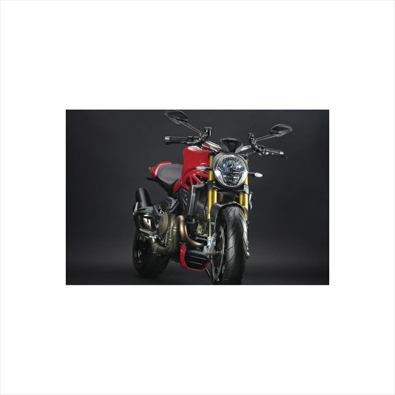 バイクパーツ 冷却系トリックスター ラジエターコアガード シルバー VHG-D02-SV 4560417401655DUCATI Monster1200/821