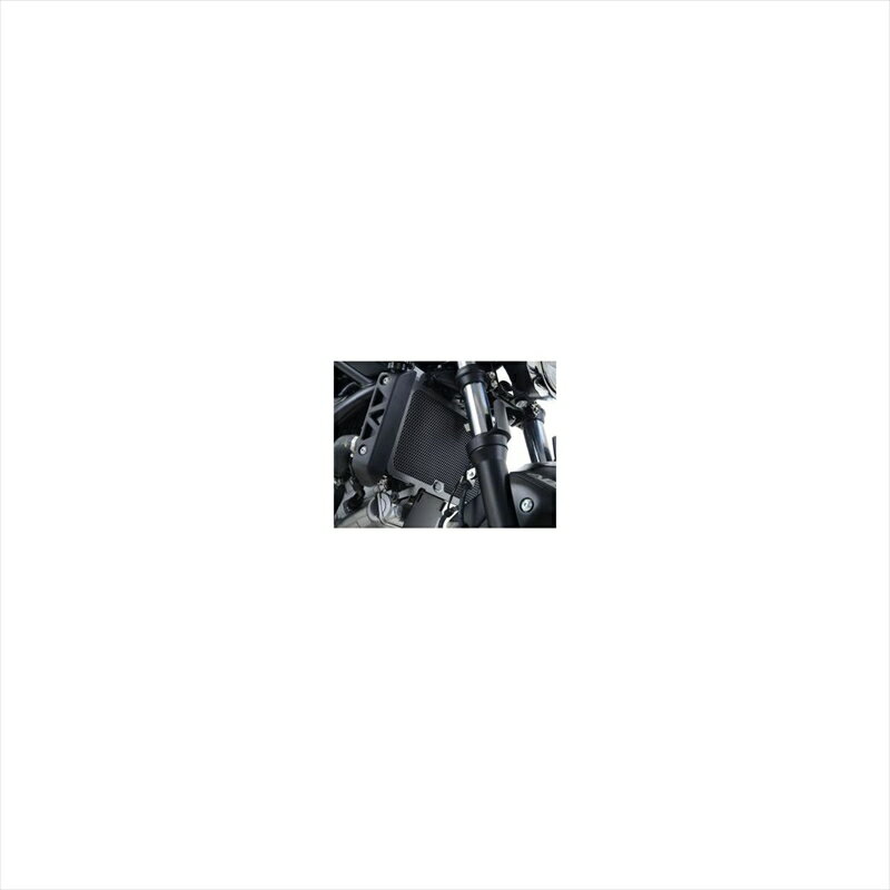 バイクパーツ 冷却系アールアンドジー ラジエターガード チタンカラーRG-RAD0203TI 4573382054511SV650 ABS 16-