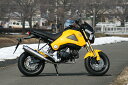 バイク用品 マフラーアールピーエム RPM 80D-RAPTOR Titan GROM6040Y 4582287244286