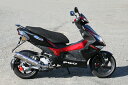 バイク用品 マフラーアールピーエム RPM 80D-RAPTOR Titan PGO G-MAX150LC(RFVM2M2A)6045Y 45822872445...