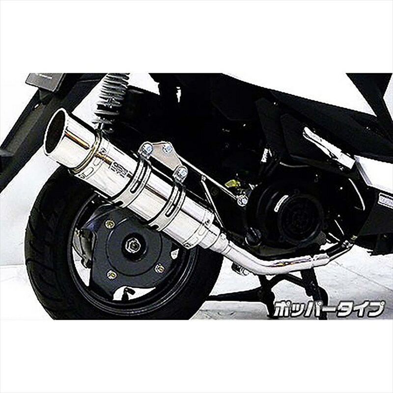 バイクパーツ マフラーウイルズウィン ロイヤルマフラーポッパータイプ 542-59-02 4548916572373キムコ VJR50i