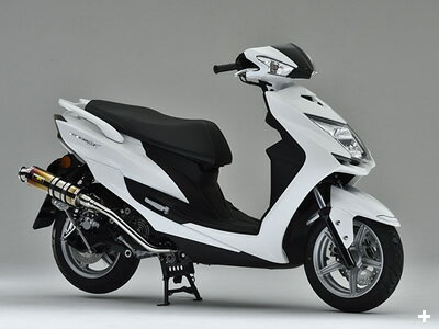 Other - バイク用品 マフラーリアライズレーシング リアライズ ブリンク チタン マフラー シグナス-X EBJ-SEA5J E3T5E340-011-01 4548916774890取寄品